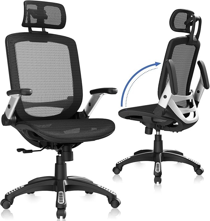 GABRYLLY Ergonomic Office Chair for content creators