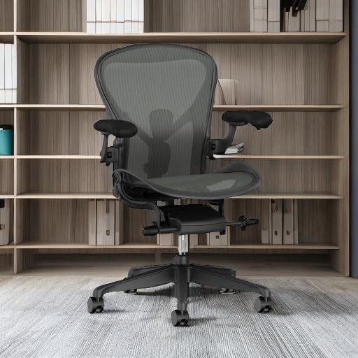 Herman Miller Aeron mesh back and PostureFit SL lumbar support detail